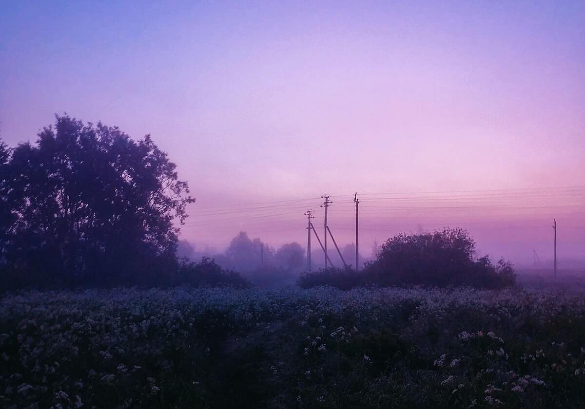 0开头的股票为什么不能买